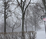 One Way Snow