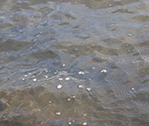 H2o30