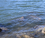 Waterflow