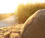 Rock Sun 3