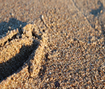 Sand