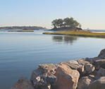 Tree Island Far