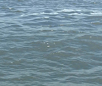 Just Water