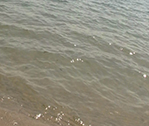 Green Water
