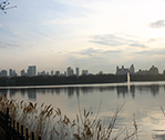 Central Park 2
