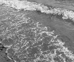 Waves On 